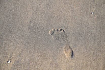 Otisak stopala u pijesku na plaži.