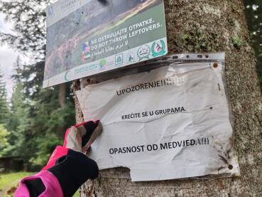 Znakovi upozorenja u šumi. Upozorenje na opasnost od medvjeda u šumi.