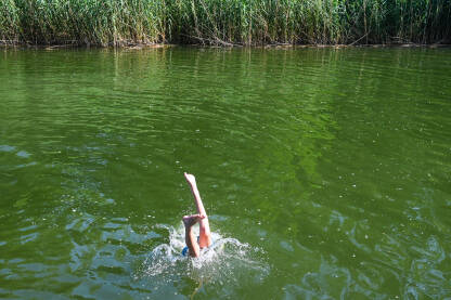 Dječak skače u vodu s drveta. Zabava na vodi. Plivač skače u rijeku ljeti.