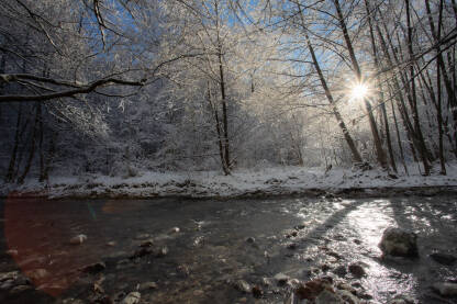 Zimsko jutro na rijeci