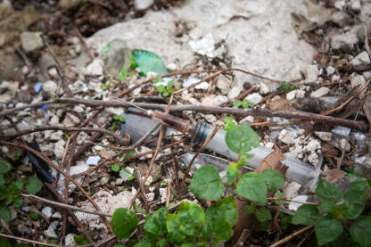 Odbačena šprica i igla pored puta