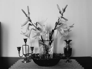 Ljiljani u vazi za cvijece