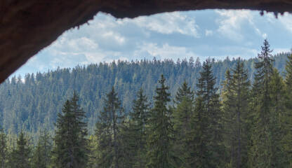 Predivan šumski pejzaž na lokaciji Bijambarskih pećina...
