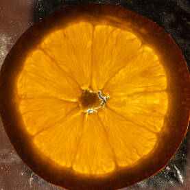 Tanka okrugla kriška narandže, presjek, sa svjetlom sleđa.