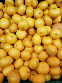 Mandarine u gajbi na polici u prodavnici; kisele mandarine za prodaju.