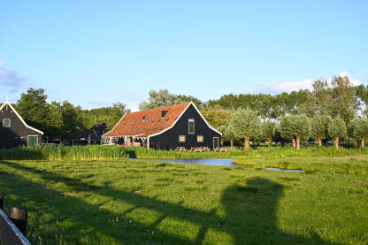 Farma i polje u Nizozemskoj. Tradicionalna kuća na selu.