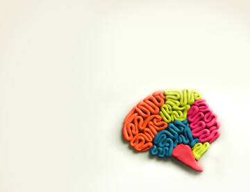 Mozak predstavljen različitim bojama