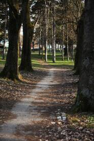 Staza za setanje u parku koja ide kroz drvece sa strane, zelenilo, zimsko vreme